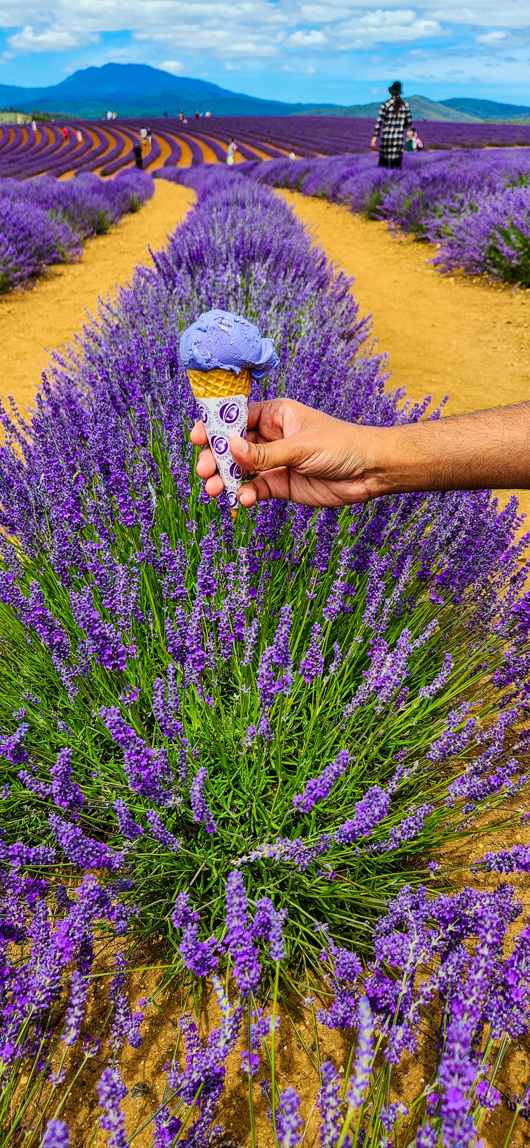 Bridestowe Lavender Icecream